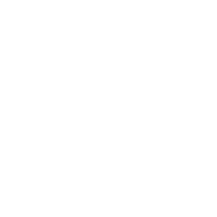 Software Development