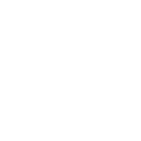 Software Development