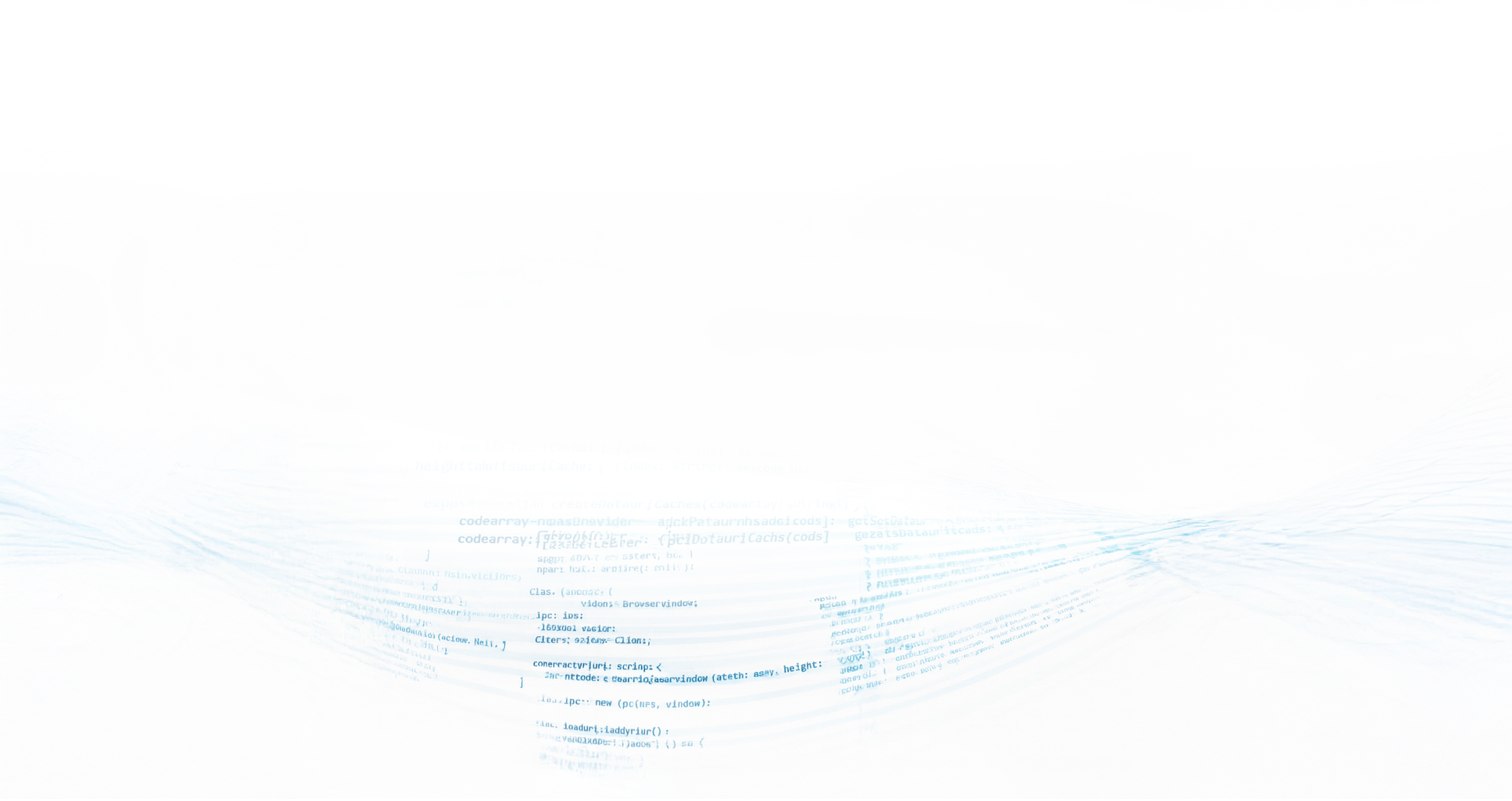 custom software development